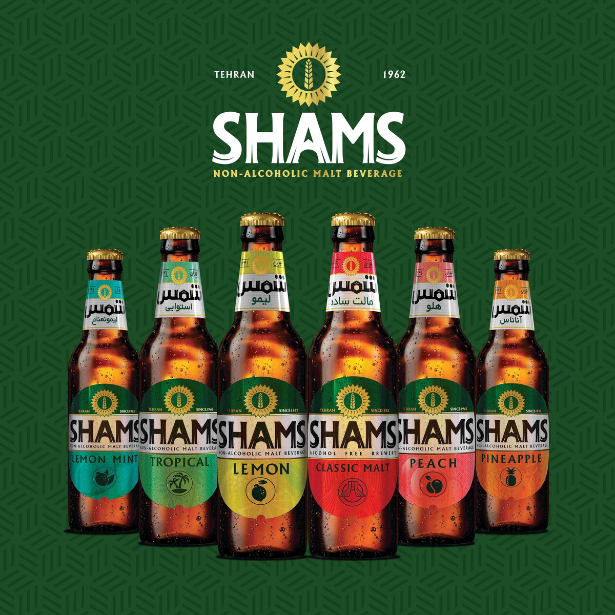 SHAMS: Non-Alcoholic Malt Berverage