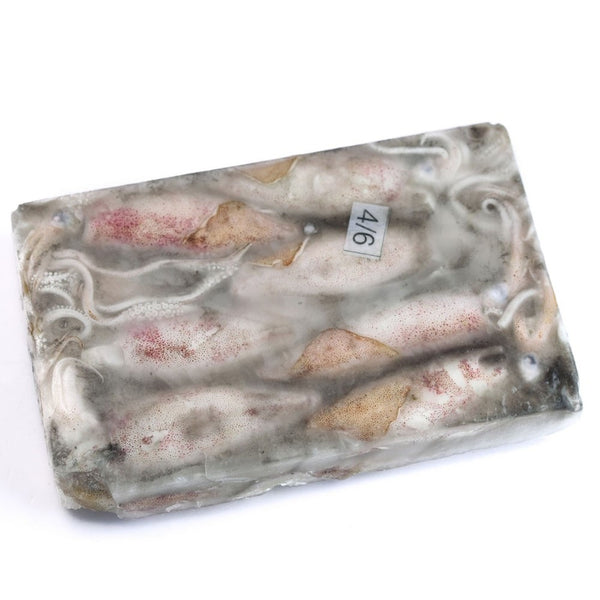 FROZEN WHOLE SOTONG WITH SKIN