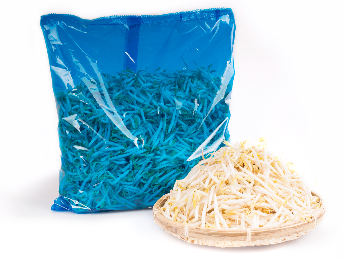 Y Beansprout (1KG) 豆芽